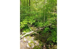 Cr # 94, Mead, OH 43947