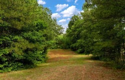 SCOTT Rd, Cordova, AL 35550
