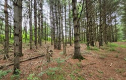 On LUKES HEIGHTS RD, Ogema, WI 54459