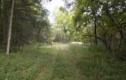 Tract 3b Route 4, Squires, MO 65755