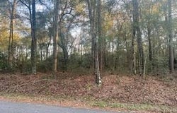 527 Club Wiley Road, Jackson, AL 36545