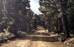 Sheridan, MT 59749