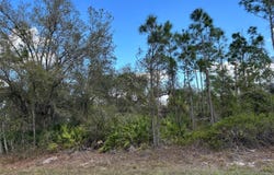 74 BALDUR DRIVE, PORT CHARLOTTE, FL 33954