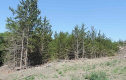 Beltrane Drive lot: 15, Yankton, SD 57078