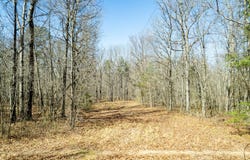 0 County Road 492, Henagar, AL 35978