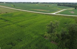 21 Acres Timber Avenue, Bloomfield, IA 52537