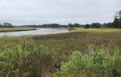 FOX GROVE RD lot: 0, PARKSLEY, VA 23421