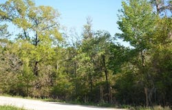 E Royal Oak Drive, Keaton Beach, FL 32348