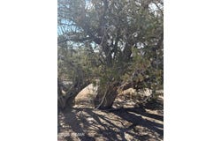 8580 D Lawson Lane, Snowflake, AZ 85937