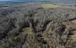 40ac CR 192, Prairie, MS 39756