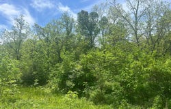 0 Buchanan Road, Waverly, OH 45690