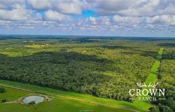 Tbd FM 908 (+/-1,057 acres), Caldwell, TX 77836