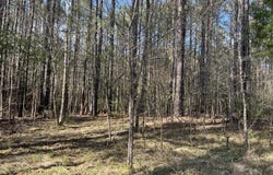 116 Zara Spook Dr Lot 139, Cedar Grove, TN 38321
