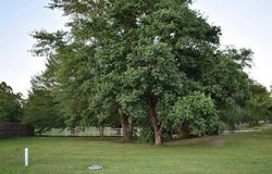 2824 Kingfisher Ln, Mount Pleasant, TX 75455