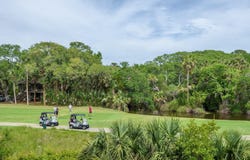1617 Live Oak Park, Seabrook Island, SC 29455