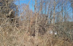 ROUTE 40 Road, ECKHART MINES, MD 21528