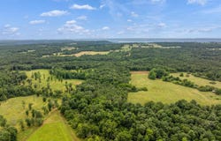 COUNTY ROAD 605 lot: 0, SECTION, AL 35771