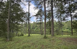3588 HIGHWAY 57, VINCENT, AL 35178