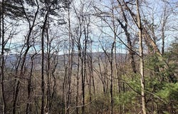 Maple Valley Lane lot: 207 & 220, Purlear, NC 28665