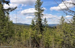 500 Outlook Dr, Cocolalla, ID 83813