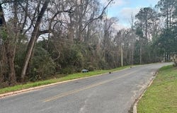 905 E Bellamy Drive, Quincy, FL 32351