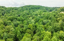 Township Road 224, Fresno, OH 43824