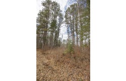 Tbd N Bass Lake Drive NE, Remer, MN 56672