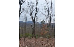 Ethan Ridge, Hayesville, NC 28909