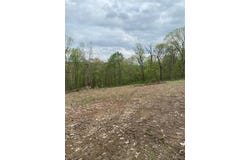 8819 Helujon Acres Drive, Hillsboro, MO 63050