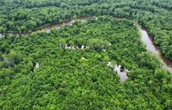 850 Vince Bluff Road, New Edinburg, AR 71660