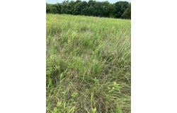 215th St & Baxter Road, Spring Hill, KS 66083