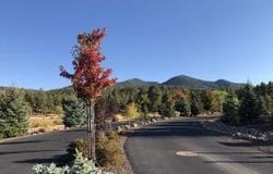 1021 STONE HOLLOW Loop, Williams, AZ 86046