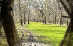 0 LA Hwy 15, Lettsworth, LA 70753