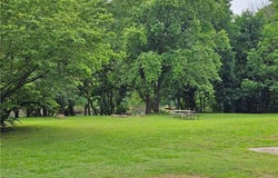 725 County Road 455, Berryville, AR 72616
