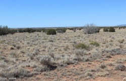 5999 Mesa View Lot 149 Drive, Heber, AZ 85928