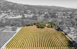 8021 Sonoma Highway, Santa Rosa, CA 95409