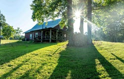 309 Dyson Rd, Montgomery, LA 71454
