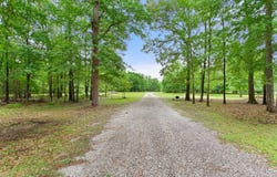 1255 VZ CR 4909, Ben Wheeler, TX 75754