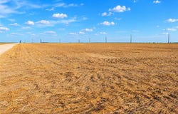 25737 Eyhorn Road, Edinburg, TX 78541