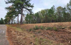 NE CR 363 lot: 4 - Tbd, Winona, TX 75792