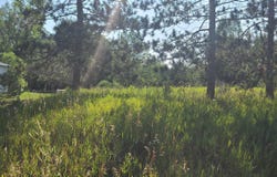 0002 M-66 SE, Fife Lake, MI 49633