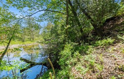 18862 Oxbow Drive, Barryton, MI 49305