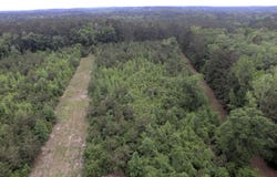 609 HIGHWAY 9, Saline, LA 71070