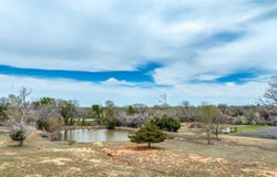 170 County Road 4678, Boyd, TX 76023