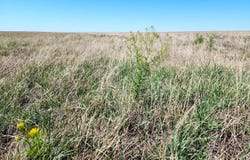 0 County Road N, Eads, CO 81036
