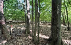 00 W Adams Road, Pentwater, MI 49449