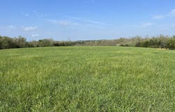 12257 Y-521 Road, Ava, MO 65608