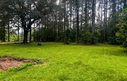 130 Shady Grove Drive, Lucedale, MS 39452