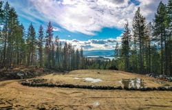 320 Towering Pines Drive (5 Ac), Sagle, ID 83860