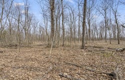 2007 N Farm Rd 89, Springfield, MO 65802